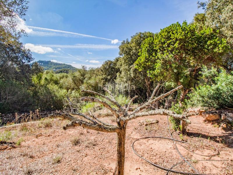 Foto b9198502-b226-43d4-aa7e-44ead814b082. Casale in Es Mercadal poble Es Mercadal