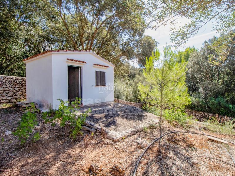 Foto cd58ae66-379e-4c6c-8eb4-93c0dcbbe3b8. Casale in Es Mercadal poble Es Mercadal