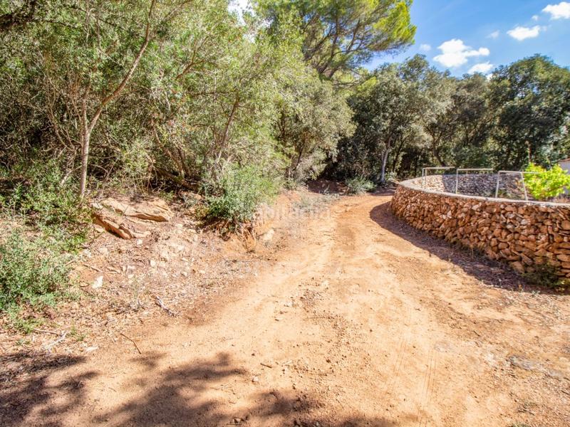 Foto ce9a0a70-f658-4bcd-9184-6dc0d286e1a4. Casale in Es Mercadal poble Es Mercadal