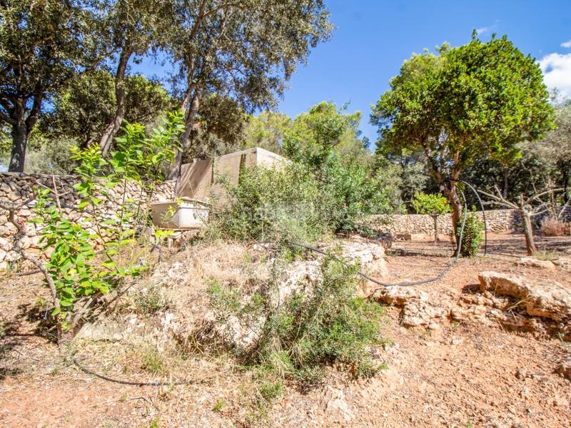 Foto e4f3849a-888a-463b-a1a1-61ca762ec1ca. Casale in Es Mercadal poble Es Mercadal