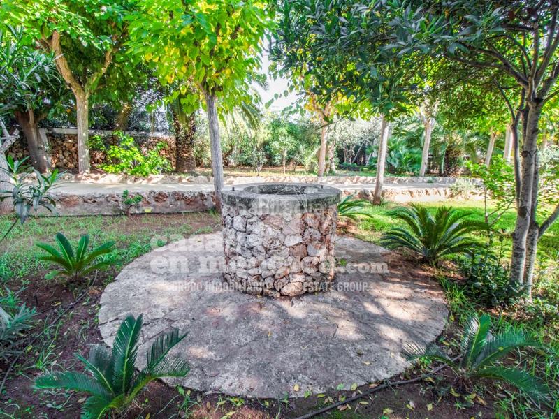 Foto 2941af15-33d8-4331-9c12-aaae54e4d776. Bauernhof mit pool in Sant Lluís-s´ullestrar-torret Sant Lluís