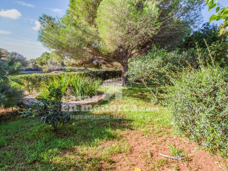 Foto 3559ad27-e6c9-46ff-9466-5c98daeb88e8. Bauernhof mit pool in Sant Lluís-s´ullestrar-torret Sant Lluís