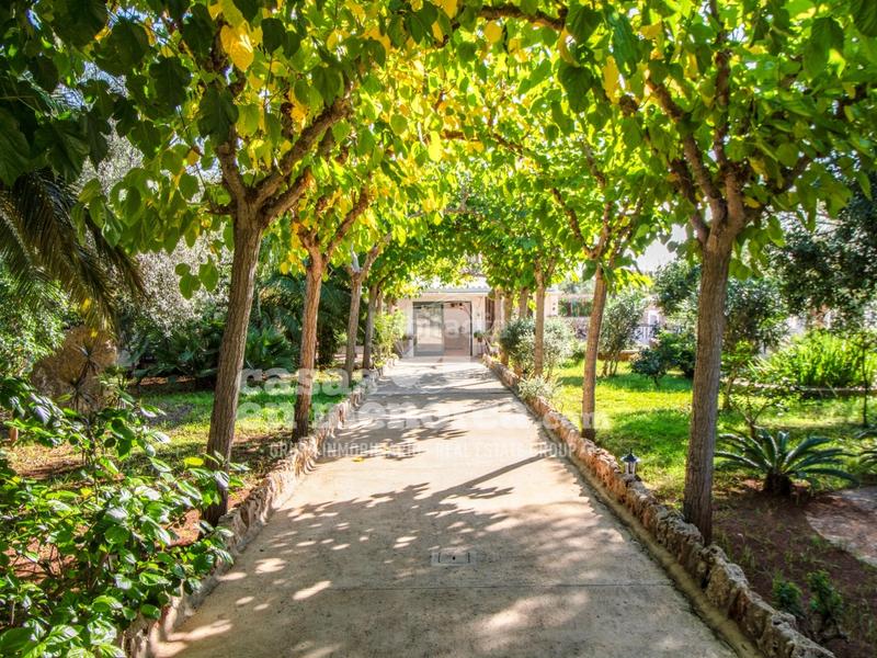 Foto 413353fb-f6ea-468b-88e7-9bac09517155. Bauernhof mit pool in Sant Lluís-s´ullestrar-torret Sant Lluís