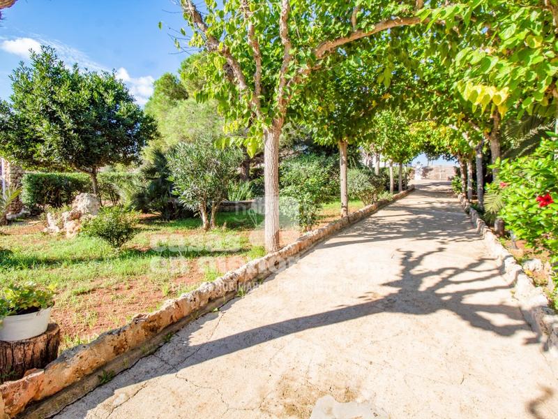 Foto c8f61832-35cd-4165-858e-7a19112466e3. Bauernhof mit pool in Sant Lluís-s´ullestrar-torret Sant Lluís