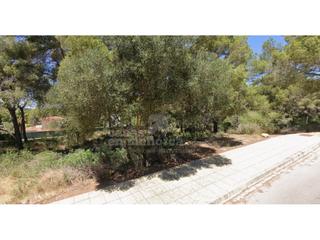 Terrain résidentiel à Son Parc. Solar urtanizable en son parc