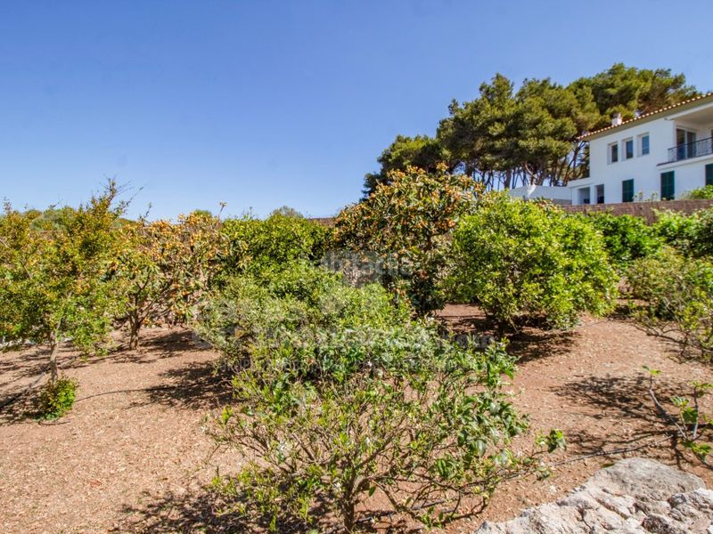 Foto 7ee84246-9467-43b3-aebd-368cc895b816. Casa amb aparcament piscina a Alaior poble Alaior