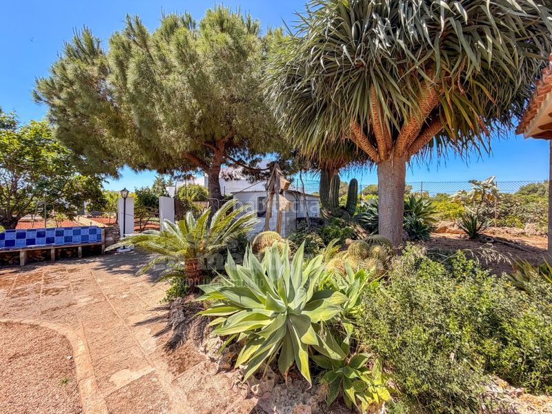 Foto 3cd9e583-31db-4660-baca-90b19ecb08a7. Masia amb aparcament a Cala Blanca Ciutadella de Menorca