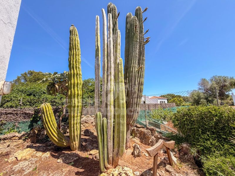 Foto ed34a362-8536-4fac-a649-a5880e04ea62. Masia amb aparcament a Cala Blanca Ciutadella de Menorca