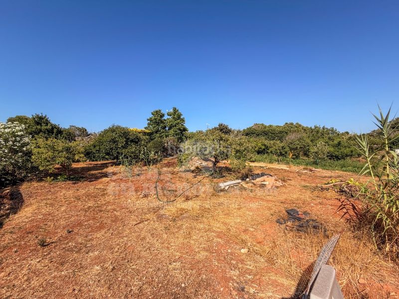 Foto 5e9b9f51-6e3d-4697-8d17-efb463a6a295. Masia amb aparcament piscina a Ciutadella Ciutadella de Menorca