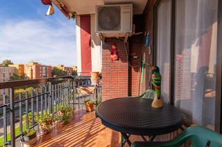 Piso en Nou Moles. Venta piso en avenida cid nou moles