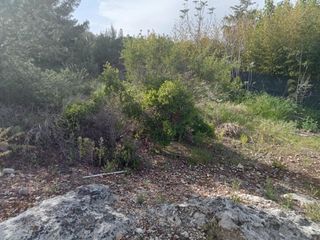 Terreny residencial a Alberic. Parcela urbana en venta en entorno natural urb. san cristobal  a