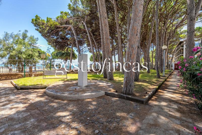 Foto e475360c-19d8-49a0-87a3-b1f36c046043. Planta baixa a calle d'eridà 5 a Tarraco Cambrils