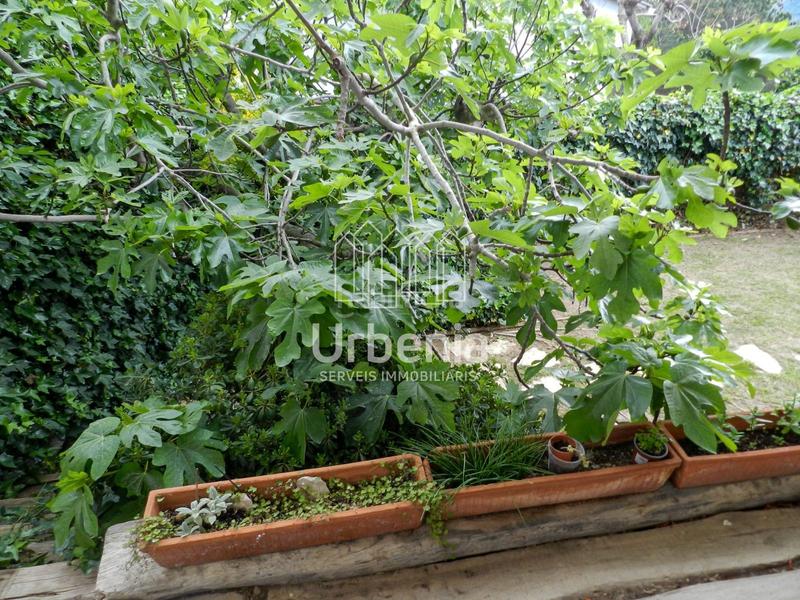 Foto 63019c38-58f3-4173-a496-e6297fb0a34a. Haus mit heizung parking in Òrrius