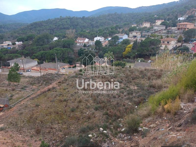 Foto 6512d3c9-e7ff-452b-a555-fd35c457f962. Propriété dans Niàgara Parc -Àgora Parc Tordera