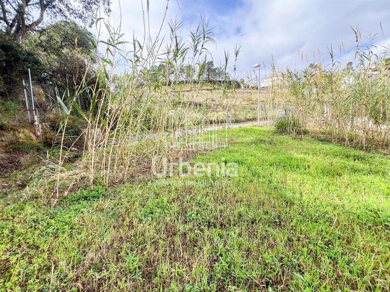 Foto 5e63104b-0aab-47ea-badf-dc47dc2790bd. Wohngrundstück in Condado del Jaruco - Puigventós Lloret de Mar