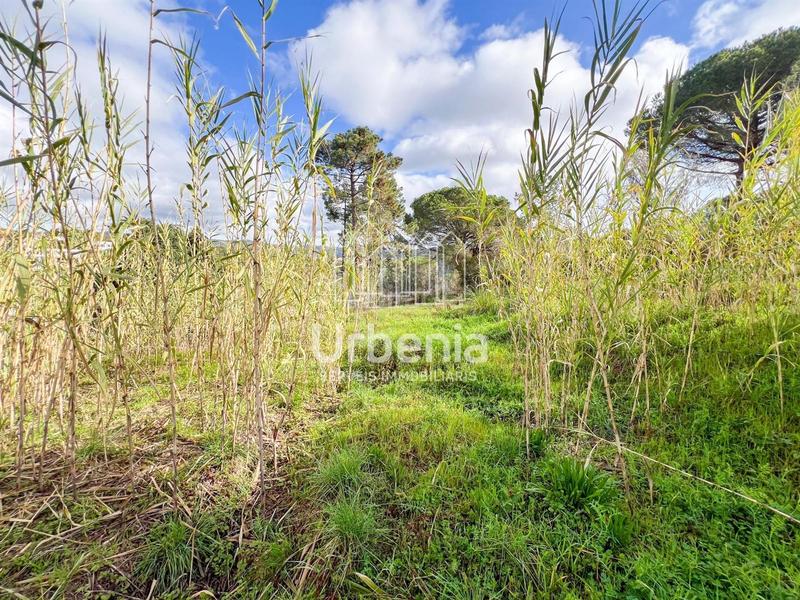 Foto b16a3f74-a78c-4f27-85bc-09566083cc7e. Wohngrundstück in Condado del Jaruco - Puigventós Lloret de Mar