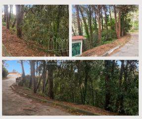 Finca rústica  Carrer roure. Terreno en collsacreu