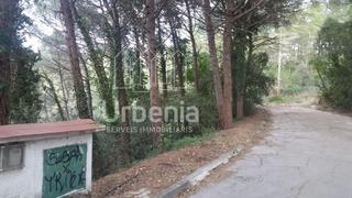 Finca rústica  Carrer roure. Terreno en collsacreu
