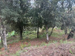 Finca rústica a Palafolls. Terreno en sant genís de palafolls