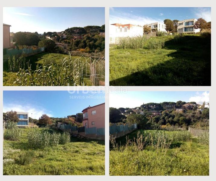Foto 7435e212-f7bd-43c5-a222-5df8f9fe45a2. Finca rústica parcela en venta y urbanizado. en Zona alta Arenys de Mar