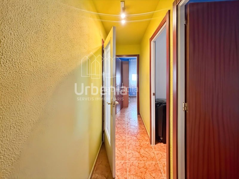 Foto 36e6df61-05d8-4d69-9e64-6b4cb12aeda1. Pis a Calella