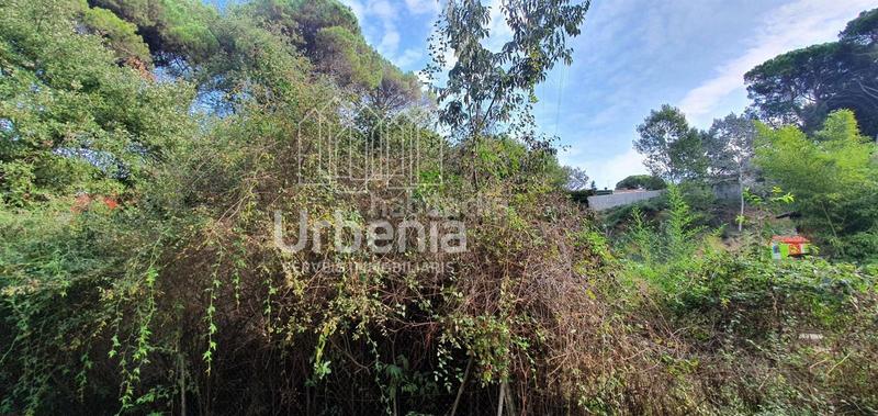 Foto 0799c196-a30c-4f8a-a986-e9a5753cedc9. Fondo rustico in Santa Maria de Palautordera