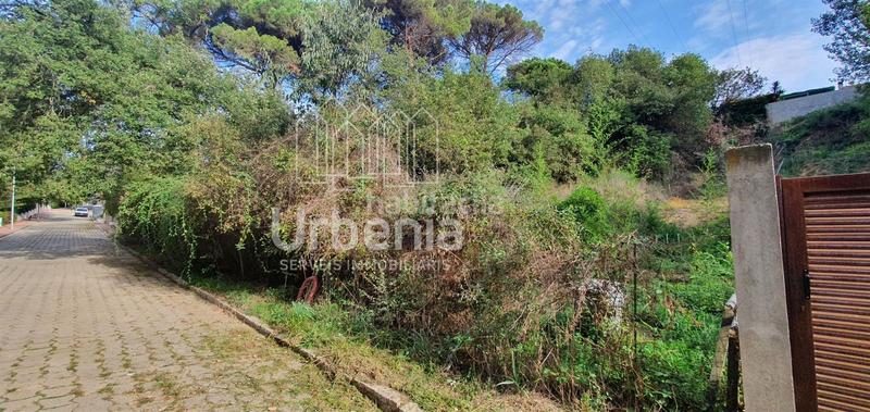 Foto 5dad5469-fc55-43b5-96e5-59342678fe6b. Fondo rustico in Santa Maria de Palautordera