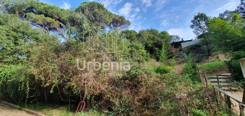 Foto e41ecd58-9102-4b98-a81e-ca3f7f1d4ef0. Fondo rustico in Santa Maria de Palautordera