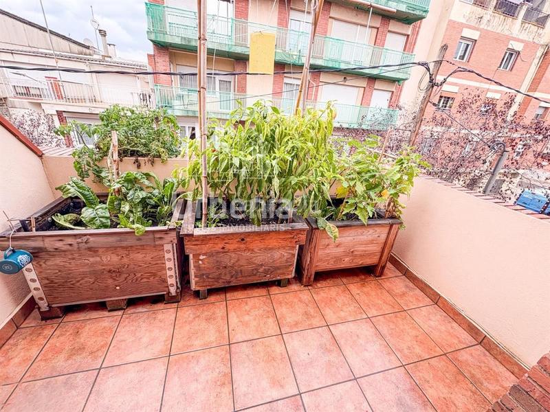 Foto ecf4d3e1-1bc0-46d3-a881-4e76c203a02a. Casa adosada adosado en venta . en Poble - Casc Antic Castellar del Vallès