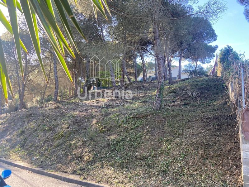 Foto 5e0ac998-ef5b-46c3-858d-0dc2a45949c6. Finca rústica a Vilanova del Vallès