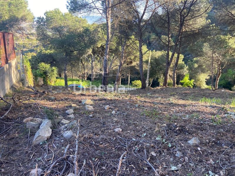 Foto 807b4e23-8ddb-445c-93a1-a15dd7ddf5f6. Finca rústica a Vilanova del Vallès