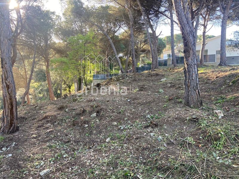 Foto 9a56dcdc-8fa9-4757-9fc5-b34987d66711. Finca rústica a Vilanova del Vallès