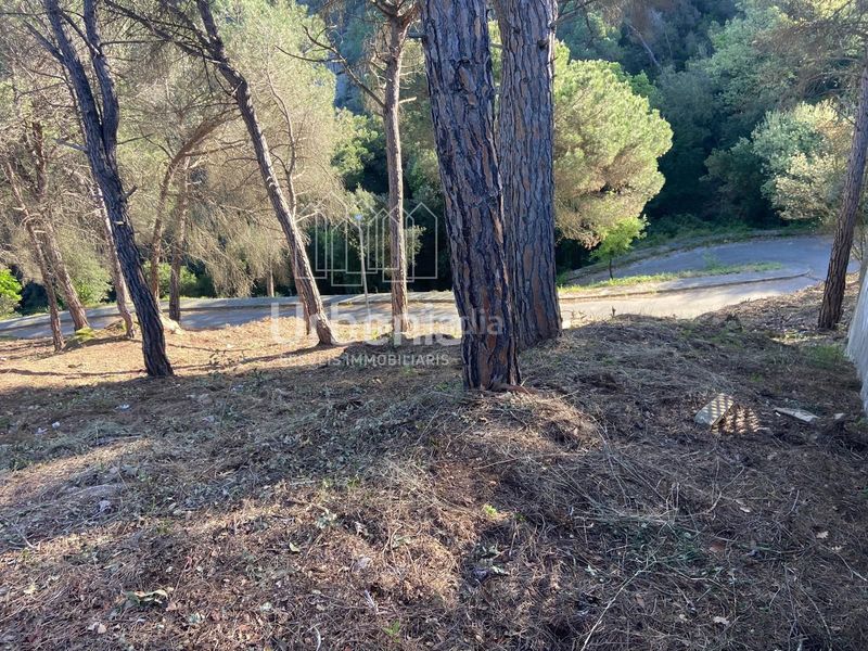 Foto d89de8d4-adcd-4d4f-a917-64ff9b2676b4. Finca rústica a Vilanova del Vallès