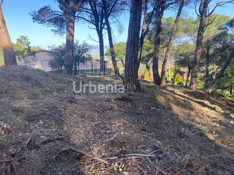 Foto febdd091-280c-4b3c-a012-f7848da4d266. Finca rústica a Vilanova del Vallès