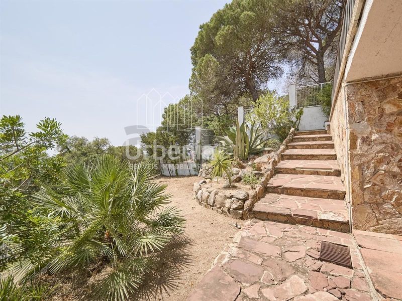 Foto fb2346c6-6d57-4a1e-91a7-eefe257d71bf. Casa a Lloret Verd - Els Pinars Lloret de Mar