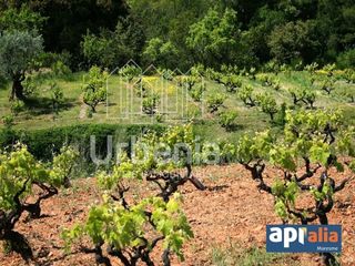 Fondo rustico in Montornès del Vallès. Donde empezar nuevos proyectos