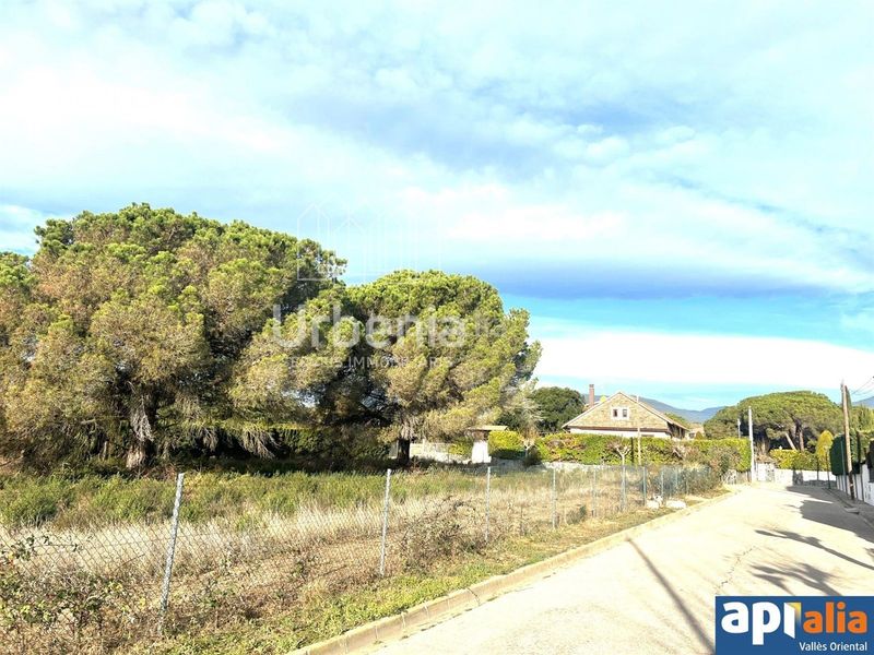 Foto 52fae0ae-7c23-4be1-a8d9-a6bf7ba36249. Finca rústica a Sant Pere de Vilamajor