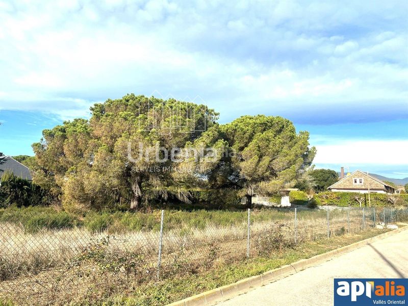 Foto 69819e08-fe0e-40a3-9a65-fbedb40ed478. Finca rústica a Sant Pere de Vilamajor