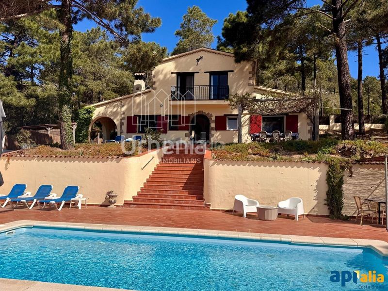 Foto 4554f66e-2a2e-4ce7-9c40-11e99a59a0e2. Pis amb aparcament piscina a Lloret Blau - La Creu de Lloret Lloret de Mar