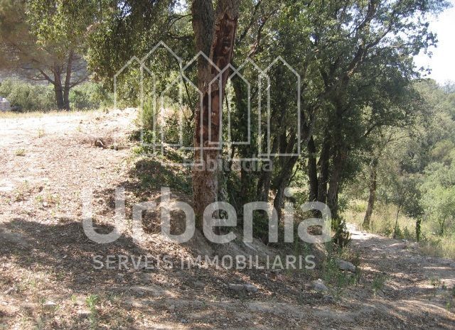 Foto 16c4f5a5-249a-43ec-bf36-c380e1067282. Finca rústica a Sant Cebrià de Vallalta