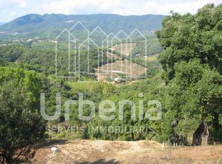 Rural plot in Sant Cebrià de Vallalta. Parcela en venta en sant cebria de vallalta