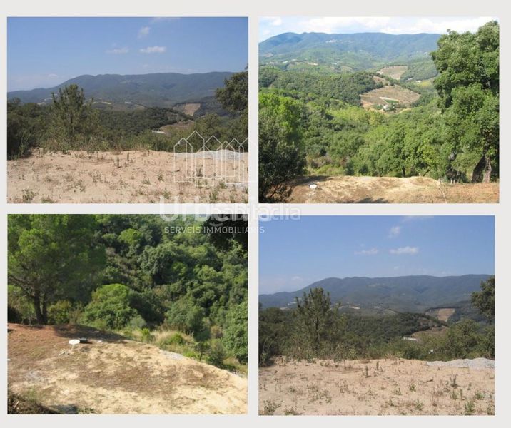Foto bda11551-0d6e-41b9-8f46-0ea13f1f81fc. Finca rústica a Sant Cebrià de Vallalta