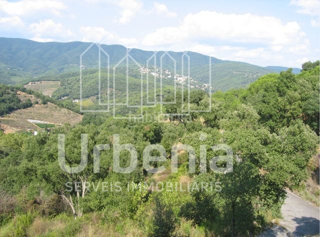 Foto ddbec552-c4d1-4be4-802f-4a2883dc7fb2. Finca rústica a Sant Cebrià de Vallalta