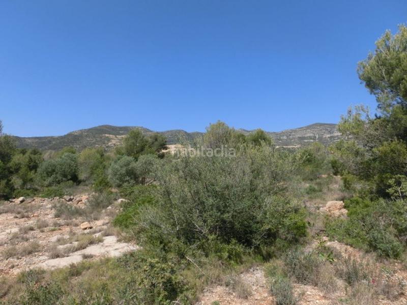 Foto 09572314-d71d-49df-8e47-a76eba9bc8c9. Masía finca rústica, de 520 m2, con vistas al mar. en Alcanar