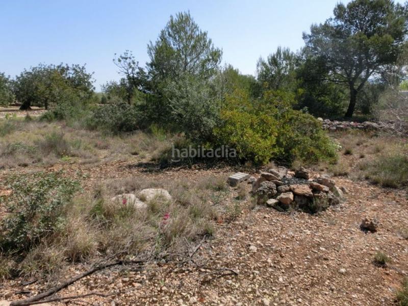 Foto 29167387-7c05-4c91-bfa7-d1b82bf5ec4e. Masía finca rústica, de 520 m2, con vistas al mar. en Alcanar
