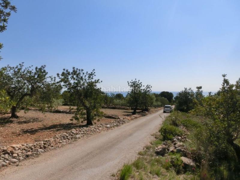 Foto 302d93cb-2a0d-4292-9c85-3588ab5db0c5. Masía finca rústica, de 520 m2, con vistas al mar. en Alcanar