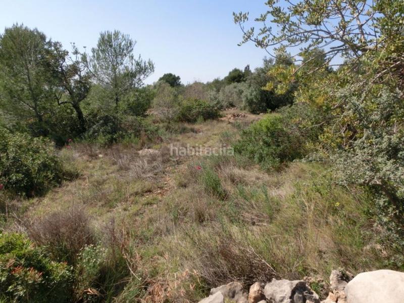 Foto 4a3f306e-249b-40c1-a1fb-2bd99513c2ed. Masía finca rústica, de 520 m2, con vistas al mar. en Alcanar