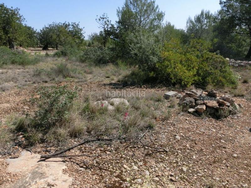 Foto 79dd89f5-172b-405f-856b-43ead2b05024. Masía finca rústica, de 520 m2, con vistas al mar. en Alcanar