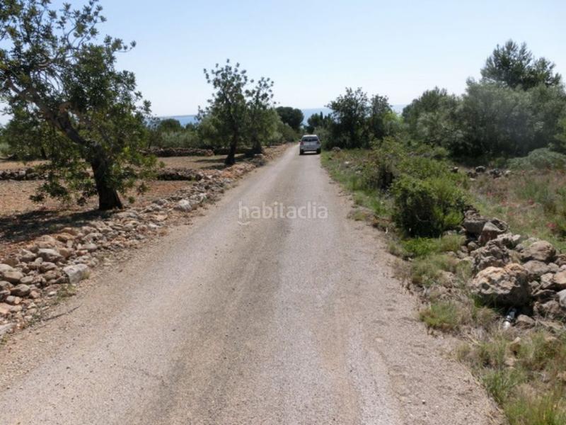 Foto a7e7605f-1d23-4726-b4f0-97e0b4fb0995. Masía finca rústica, de 520 m2, con vistas al mar. en Alcanar