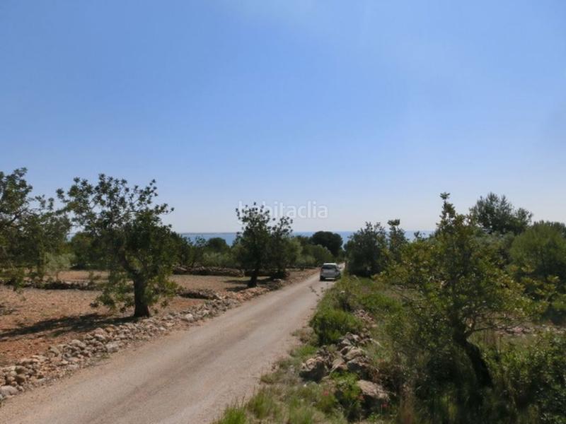 Foto b57c8809-432d-4d40-9902-c69f4eb5c539. Masía finca rústica, de 520 m2, con vistas al mar. en Alcanar
